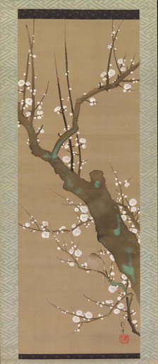 Bush Warbler (Uguisu) in a Plum Tree, early 19th century. Creator: Sakai Hoitsu.