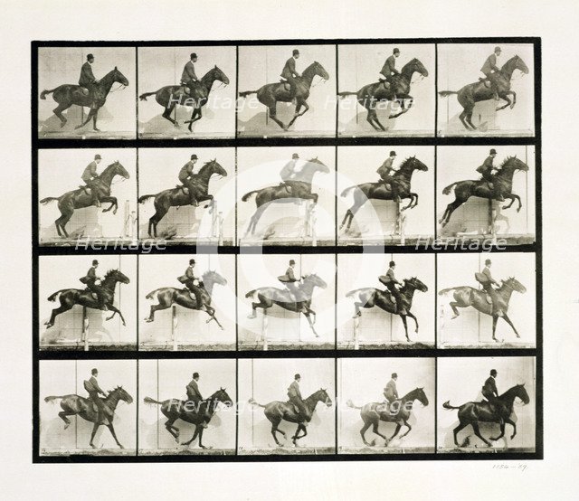 Man and horse jumping a fence, 1887 Artist: Eadweard J Muybridge