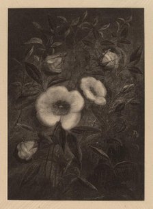 Wild Roses, 1883. Creator: Elbridge Kingsley.