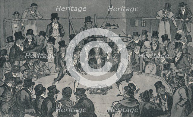 'At the Royal Cockpit, 1821', (1920). Artists: Isaac Robert Cruikshank, George Cruikshank.