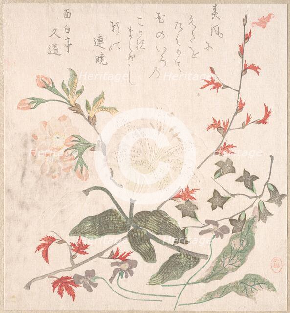 Lily, Violets, Cherry Blossoms, Forsythia, and a Branch of Red Maple, 18th-19th century. Creator: Unknown.