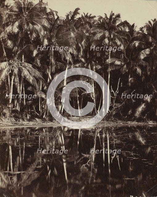 Tetiaroa - Un lagon des Paumotu, 1880s or 1890s. Creator: Charles Spitz.