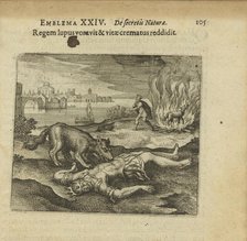 Emblem 24. The wolf ate the king, and how he burned the life back to him, 1618. Creator: Merian, Matthäus, the Elder (1593-1650).