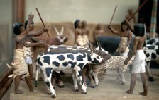 Herding cattle; Ancient Egyptian tomb model. Artist: Unknown