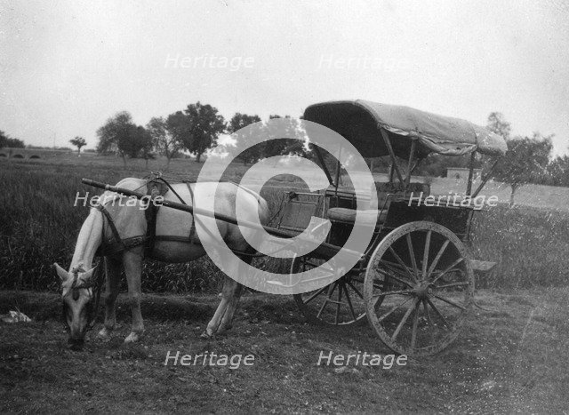 Tonga (horse cart), Muttra, India, 1917. Artist: Unknown