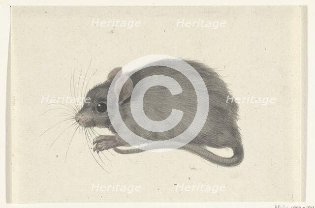 Mouse, to the left, 1775-1833. Creator: Jean Bernard.