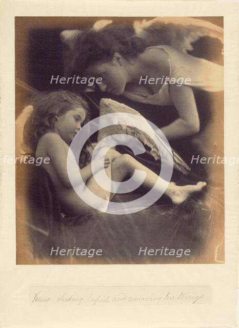 Venus Chiding Cupid and Removing His Wings, 1872. Creator: Julia Margaret Cameron.