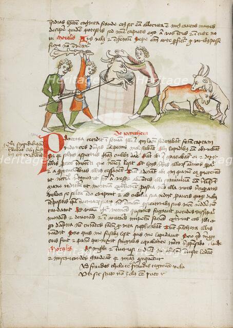 A Panther, Which Attacked a Cow, is Slain; Fables, third quarter of 15th century. Creator: Unknown.