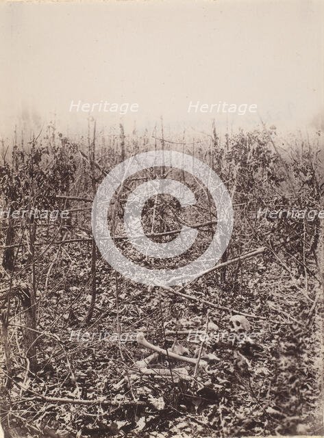 The Wilderness Battlefield, 1864. Creator: Unknown.