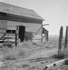 Possibly: Weeds crowd the barn door abandoned in Columbian Basin, Grant County, Washington, 1939. Creator: Dorothea Lange.