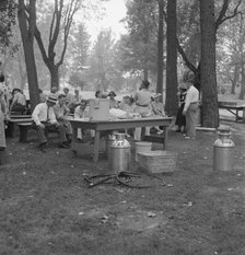"California Day," a picnic in town park on the Rogue River, Grants Pass, Oregon, 1939. Creator: Dorothea Lange.