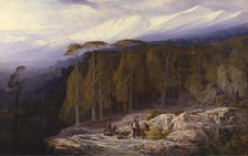 The Forest of Valdoniello, Corsica, 1869. Creator: Edward Lear.