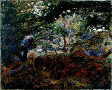 Sous-Bois, 1908-1910. Creator: Georges Lacombe.