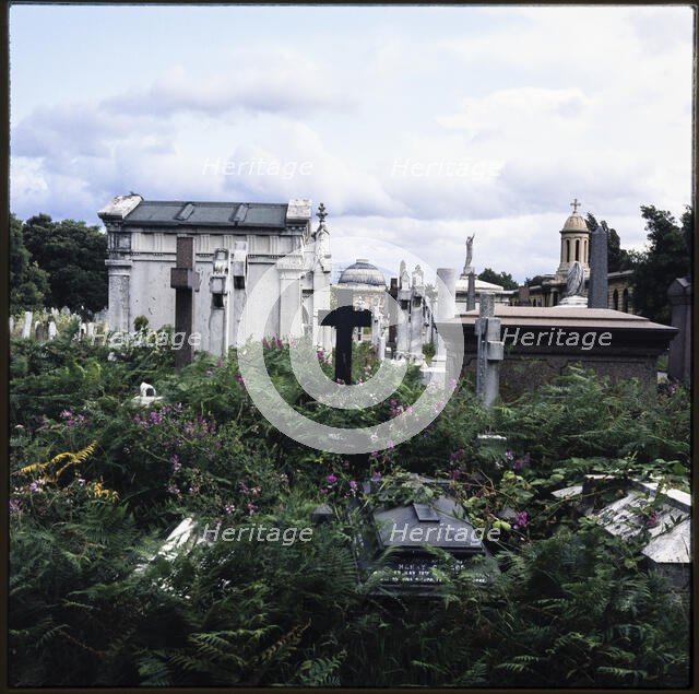 Brompton Cemetery, Old Brompton Road, Brompton, Kensington and Chelsea, London, 1982. Creator: Ian Mesnard Parsons.