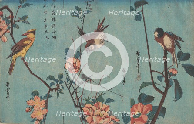 Titmouse and Camellias (right), Sparrow and Wild Roses (center), and Black-naped Oriol..., ca. 1833. Creator: Ando Hiroshige.