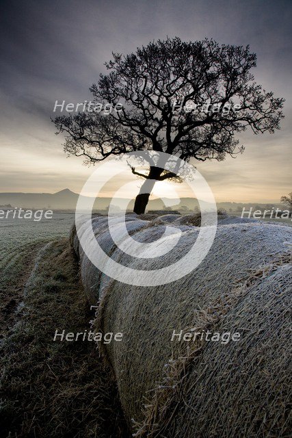 Morton Carr and Roseberry Topping, North Yorkshire, 2008. Artist: Mike Kipling.