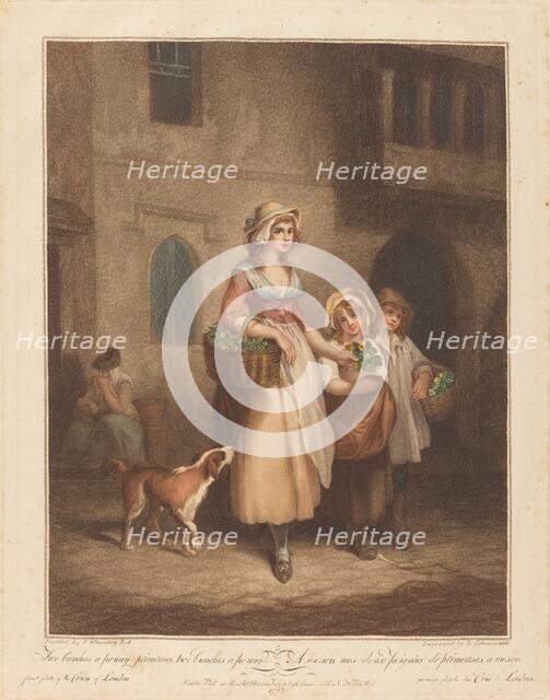 Two Bunches a Penny, Primroses, 1793. Creator: Luigi Schiavonetti.