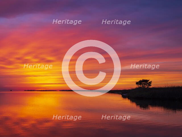 Crescendo. Creator: Eve Turek.