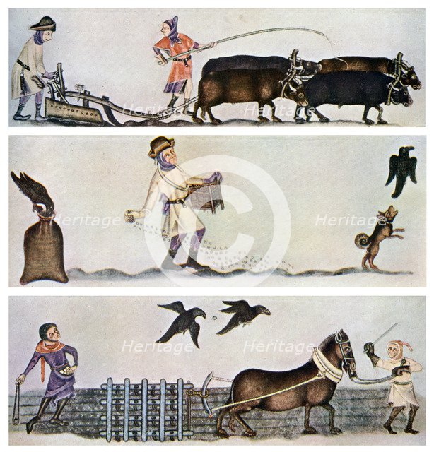 Ploughing, sowing, and harrowing, c1300-1340, (c1900-1920). Artist: Unknown