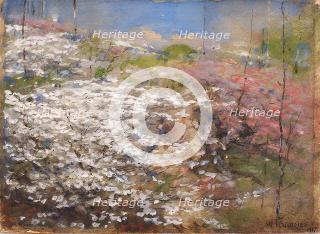 Field of Blossoms, 1927. Creator: William Henry Holmes.