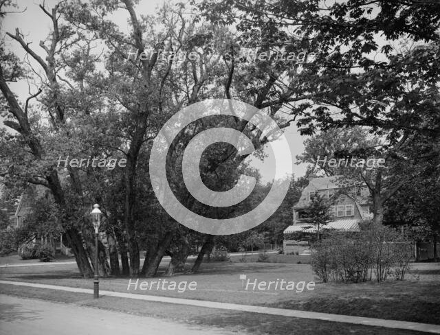 Hubbard Park, Cambridge, Mass., between 1900 and 1920. Creator: Unknown.