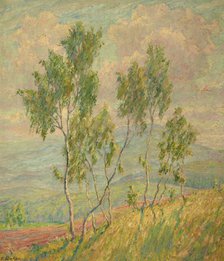 Birches Against Mountains and a Road, 2nd half of 19th century. Creator: Unknown.