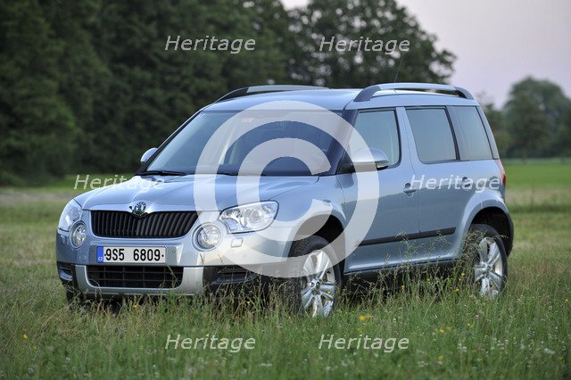 Skoda Yeti 2009. Artist: Simon Clay.