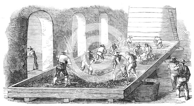 Wine-Making, at the Chateau Lafitte, 1854. Creator: Unknown.