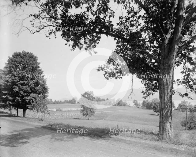 Lake George Country Club, golf links on Lake George, N.Y., between 1900 and 1910. Creator: Unknown.