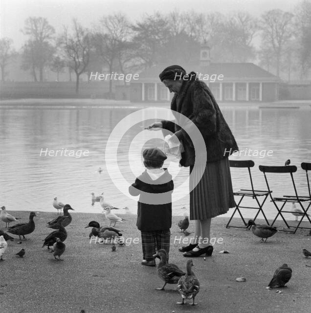 Woman and a young boy feeding the ducks and birds on the edge of the Serpentine, Hyde Park, 1960-70. Creator: John Gay.