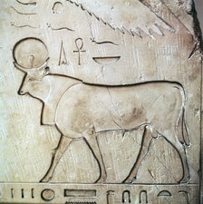 Egyptian relief of the bull-god Apis. Artist: Unknown