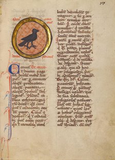 A Magpie; Bestiary, about 1270. Creator: Unknown.