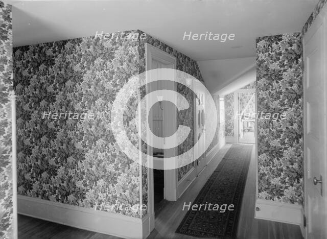 Hall with floral wallpaper, probably in a clubhouse, New York City, between 1900 and 1910. Creator: William H. Jackson.