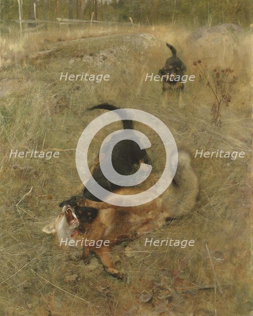 Swedish Foxhound and Fox, 1885. Creator: Bruno Liljefors.