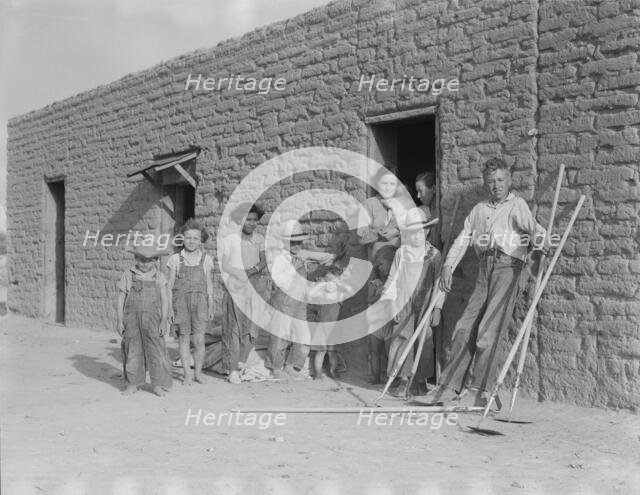 Drought refugee families...supplanting Mexican field laborers..., Near Chandler, Arizona, 1937. Creator: Dorothea Lange.