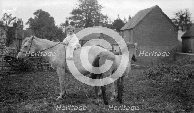 Child, horse and pony, Snitterfield, Warwickshire, c1896-c1920. Artist: Alfred Newton & Sons