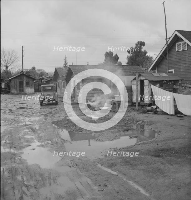 Houses inhabited by Mexican citrus workers, Lindsay, Tulare County, California, 1939. Creator: Dorothea Lange.