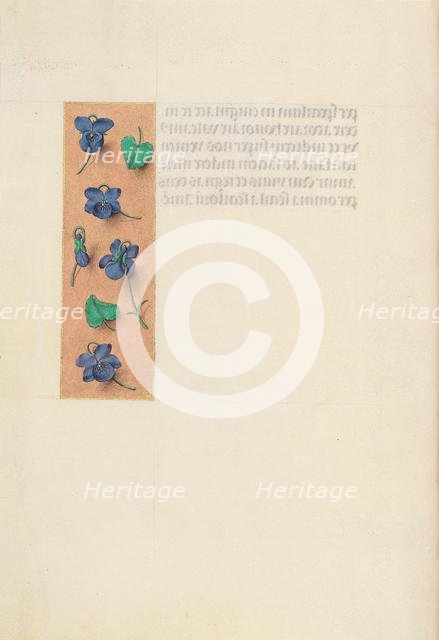 Hours of Queen Isabella the Catholic, Queen of Spain: Fol. 16v, Short Border…, c. 1500. Creator: Master of the First Prayerbook of Maximillian (Flemish, c. 1444-1519); Associates, and.