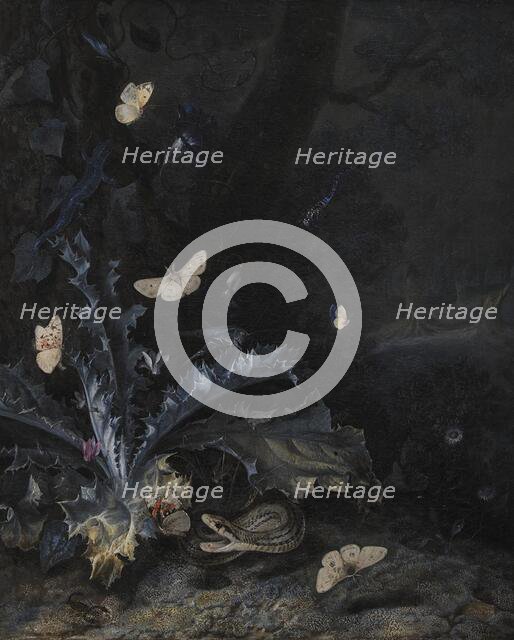Still Life with Thistle and Snake, 1663. Creator: Otto Marseus van Schrieck.