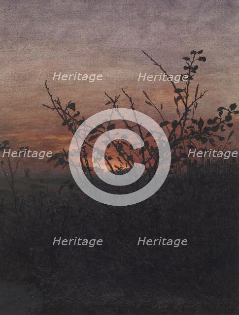 Blackthorn (?) in front of a Landscape at Sunset, 1864. Creator: Leon Bonvin.