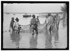 Net fishing, between 1909 and 1923. Creator: Harris & Ewing.