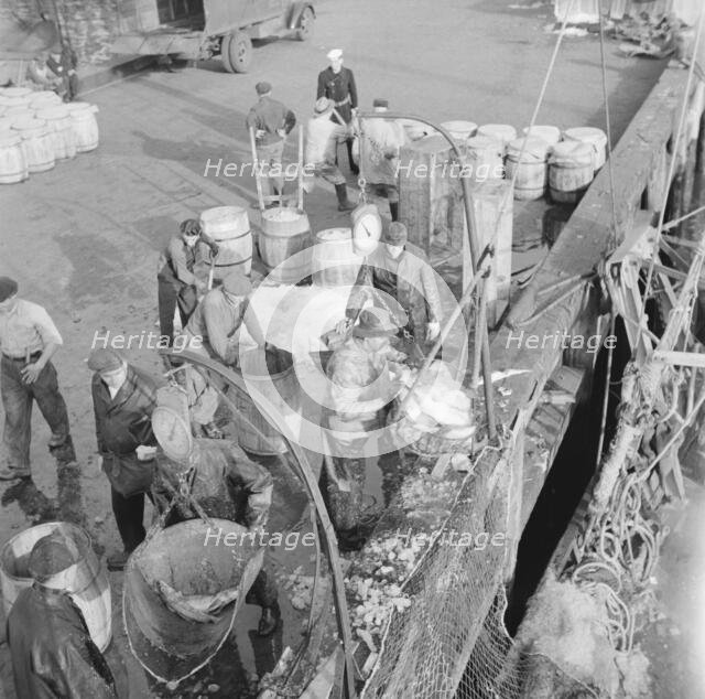 Dock stevedores at the Fulton fish market sending up baskets of fish..., New York, 1943. Creator: Gordon Parks.
