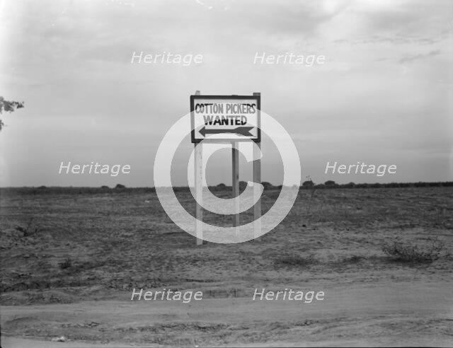 Along U.S. Highway 99, Southern San Joaquin Valley, California, 1936. Creator: Dorothea Lange.