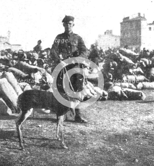 'Marseille en Fete; La gazelle-mascotte du regiment ecossais de l'Afrique du Sud', 1916. Creator: Unknown.