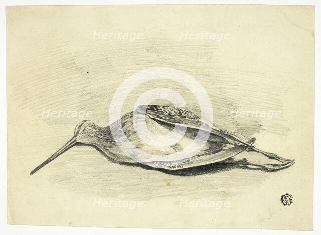 Dead Grouse, n.d. Creator: Henry LeJeune.