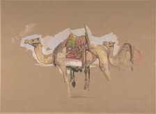 Two Camels, ca. 1843. Creator: John Frederick Lewis.