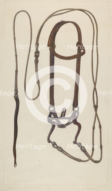 Bridle with Braided Rawhide Reins, c. 1937. Creator: Clyde L. Cheney.