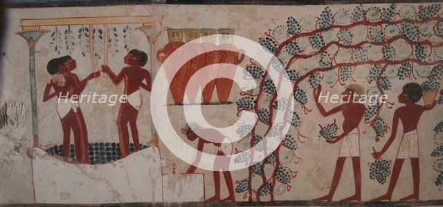 Harvesting grapes and Winemaking. The Tomb of Nakht, ca 1380 BC.