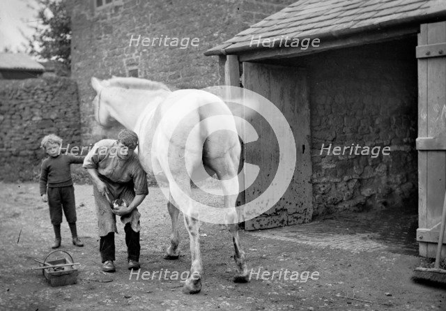 A farrier shoes a horse at Hellidon, Northamptonshire, c1873-c1923. Artist: Alfred Newton & Sons
