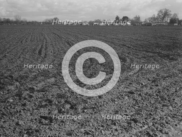 Migrants' winter quarters, Farmersville, Tulare County , 1939. Creator: Dorothea Lange.